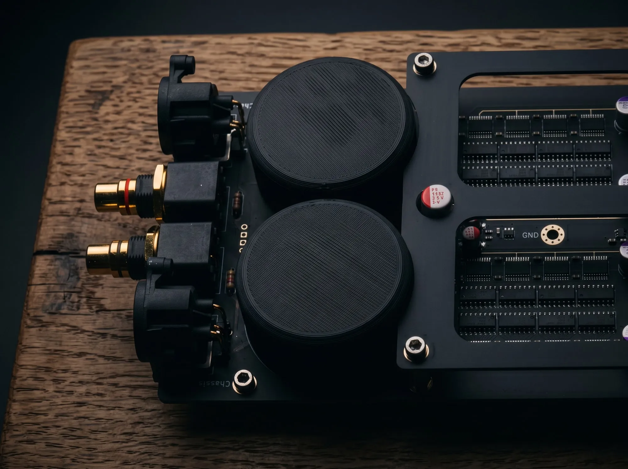 Ausgangsseite des DISCRETE PURE DSD DAC: XLR- und Cinch-Buchsen direkt am diskreten Wandlernetzwerk
